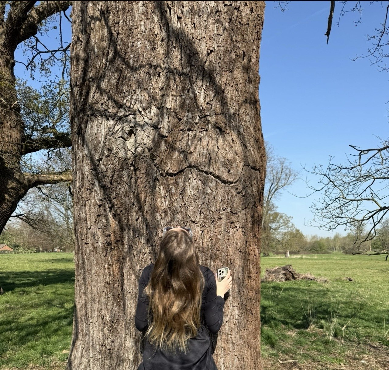 Kate touching oak tree